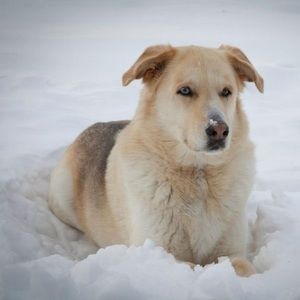 Meet your Posher, Renae